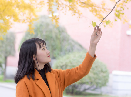 菲律宾著名大学博士(大学博士解析)